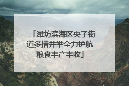 潍坊滨海区央子街道多措并举全力护航粮食丰产丰收