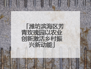 潍坊滨海区芳青玫瑰园以农业创新激活乡村振兴新动能