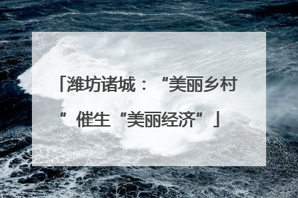 潍坊诸城：“美丽乡村”催生“美丽经济”