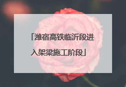 潍宿高铁临沂段进入架梁施工阶段