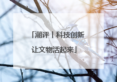 潮评丨科技创新让文物活起来