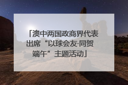 澳中两国政商界代表出席“以球会友·同贺端午”主题活动