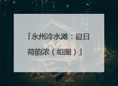 永州冷水滩：夏日荷韵浓（组图）