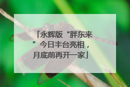 永辉版“胖东来”今日丰台亮相，月底前再开一家