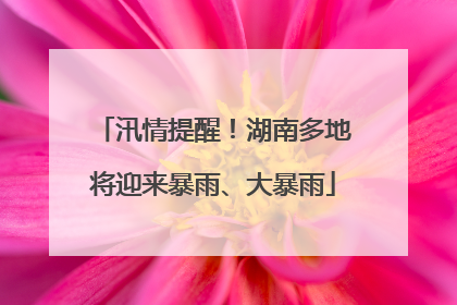 汛情提醒！湖南多地将迎来暴雨、大暴雨