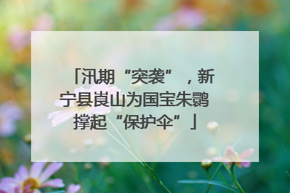 汛期“突袭”，新宁县崀山为国宝朱鹮撑起“保护伞”