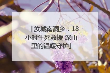 汝城南洞乡：18小时生死救援 深山里的温暖守护