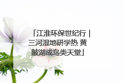 江淮环保世纪行｜三河湿地研学热 黄陂湖成鸟类天堂