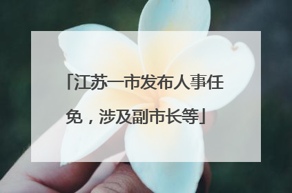 江苏一市发布人事任免，涉及副市长等