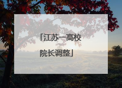 江苏一高校院长调整