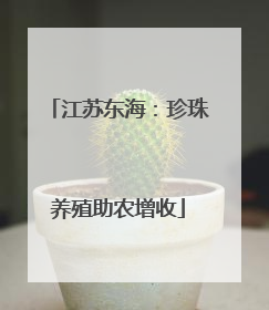 江苏东海：珍珠养殖助农增收