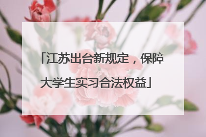 江苏出台新规定，保障大学生实习合法权益