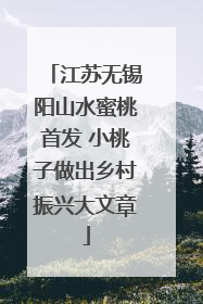 江苏无锡阳山水蜜桃首发 小桃子做出乡村振兴大文章