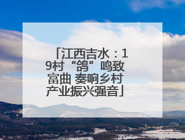 江西吉水：19村“鸽”鸣致富曲 奏响乡村产业振兴强音