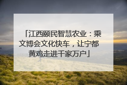 江西颐民智慧农业：乘文博会文化快车，让宁都黄鸡走进千家万户