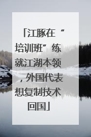 江豚在“培训班”练就江湖本领，外国代表想复制技术回国
