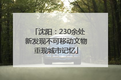 沈阳：230余处新发现不可移动文物重现城市记忆