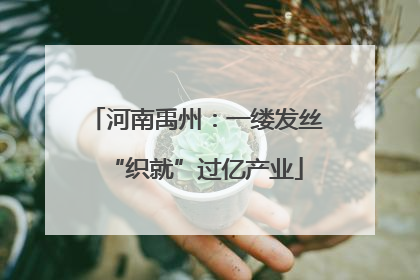 河南禹州：一缕发丝“织就”过亿产业