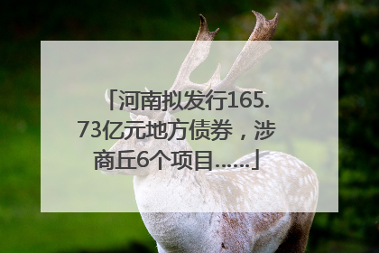 河南拟发行165.73亿元地方债券，涉商丘6个项目……