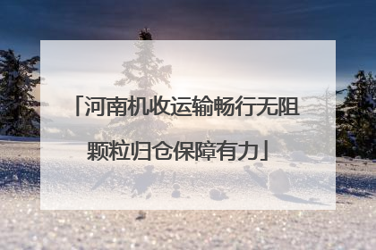 河南机收运输畅行无阻 颗粒归仓保障有力