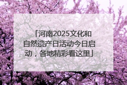 河南2025文化和自然遗产日活动今日启动，各地精彩看这里