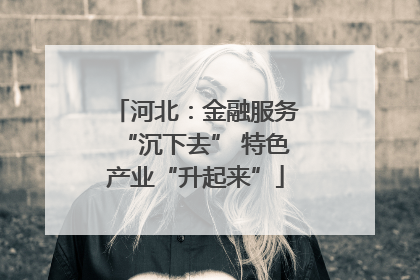 河北：金融服务“沉下去” 特色产业“升起来”