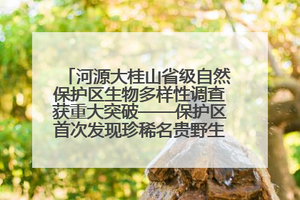 河源大桂山省级自然保护区生物多样性调查获重大突破——保护区首次发现珍稀名贵野生干巴菌与钝尾两头蛇