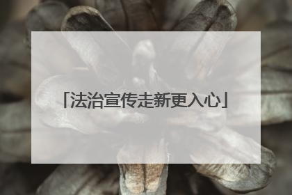 法治宣传走新更入心