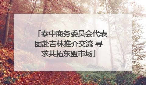 泰中商务委员会代表团赴吉林推介交流 寻求共拓东盟市场