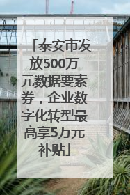 泰安市发放500万元数据要素券，企业数字化转型最高享5万元补贴