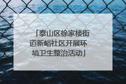泰山区徐家楼街道新峪社区开展环境卫生整治活动