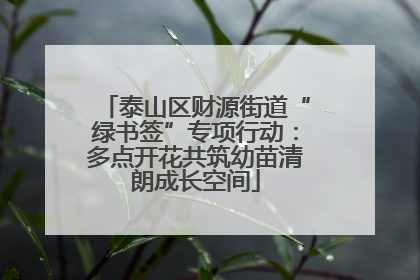 泰山区财源街道“绿书签”专项行动：多点开花共筑幼苗清朗成长空间