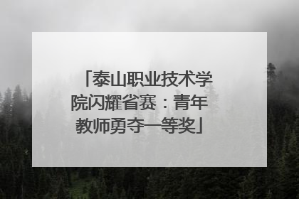 泰山职业技术学院闪耀省赛：青年教师勇夺一等奖