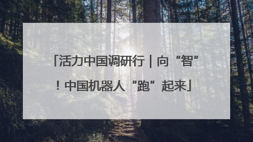 活力中国调研行｜向“智”！中国机器人“跑”起来