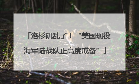 洛杉矶乱了！“美国现役海军陆战队正高度戒备”
