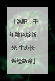洛阳：千年釉色绽新光 生态长卷绘新章