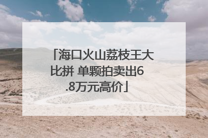 海口火山荔枝王大比拼 单颗拍卖出6.8万元高价
