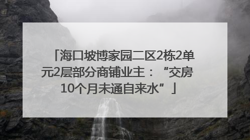 海口坡博家园二区2栋2单元2层部分商铺业主：“交房10个月未通自来水”