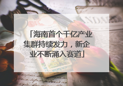 海南首个千亿产业集群持续发力，新企业不断涌入赛道