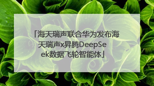 海天瑞声联合华为发布海天瑞声x昇腾DeepSeek数据飞轮智能体