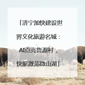 济宁加快建设世界文化旅游名城：AI点亮鲁源村，快艇激荡微山湖
