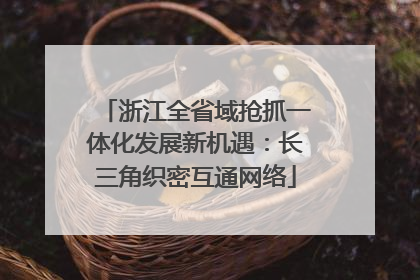 浙江全省域抢抓一体化发展新机遇：长三角织密互通网络