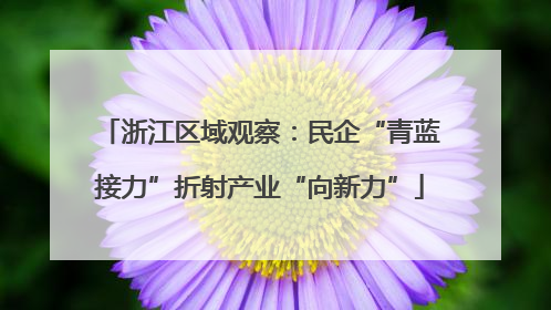 浙江区域观察：民企“青蓝接力”折射产业“向新力”
