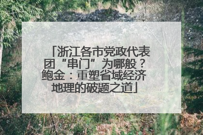 浙江各市党政代表团“串门”为哪般？鲍金：重塑省域经济地理的破题之道