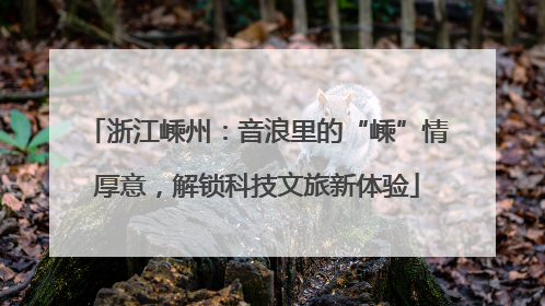浙江嵊州：音浪里的“嵊”情厚意，解锁科技文旅新体验