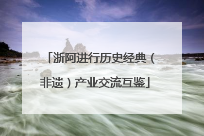 浙阿进行历史经典（非遗）产业交流互鉴