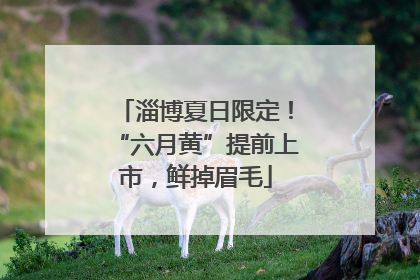淄博夏日限定！“六月黄”提前上市，鲜掉眉毛