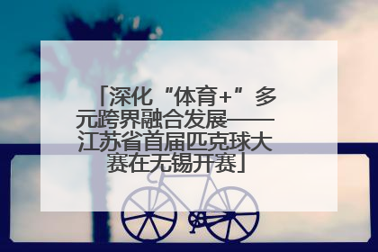 深化“体育+”多元跨界融合发展——江苏省首届匹克球大赛在无锡开赛