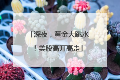 深夜，黄金大跳水！美股高开高走
