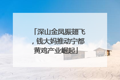 深山金凤振翅飞，钱大妈推动宁都黄鸡产业崛起